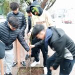imagen portada arbol